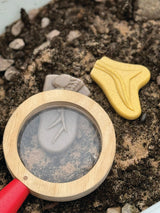 Dig and Discover Pliosaur & Stegosaurus - Modern Teaching Aids NZ