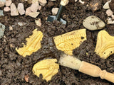 Dig and Discover Pliosaur & Stegosaurus - Modern Teaching Aids NZ