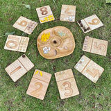 Felt Ball Numbers Pack - Modern Teaching Aids NZ